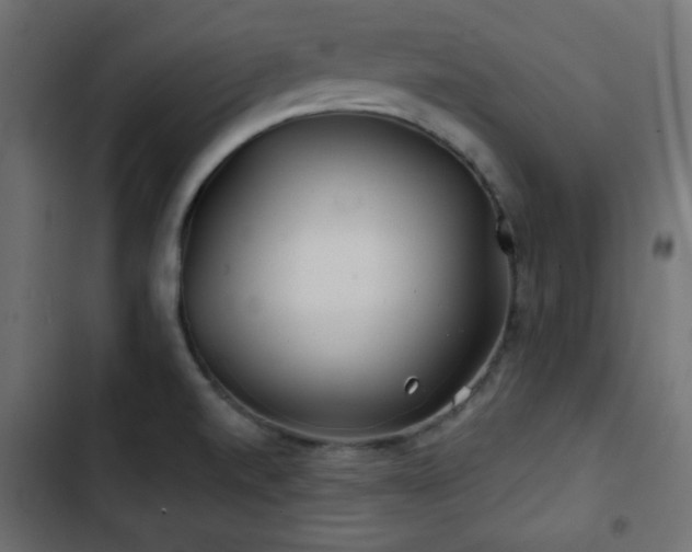 X0000103491520200809121702