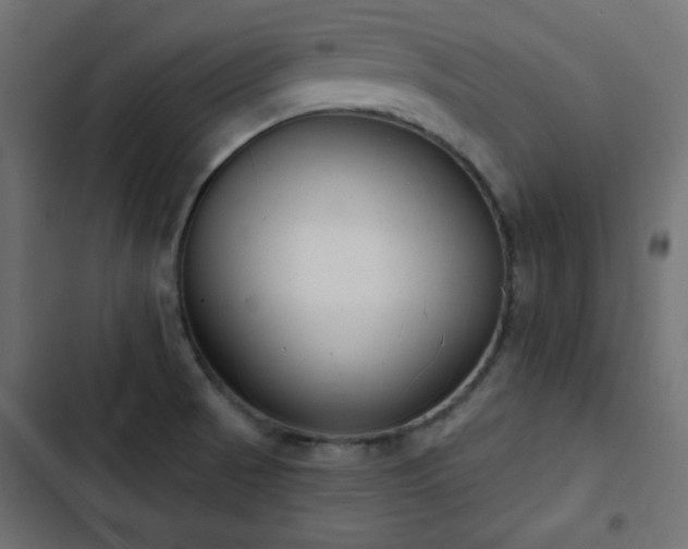 X0000103491521200809121702