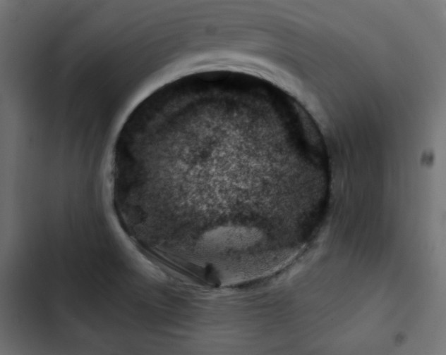 X0000103491522200809121702