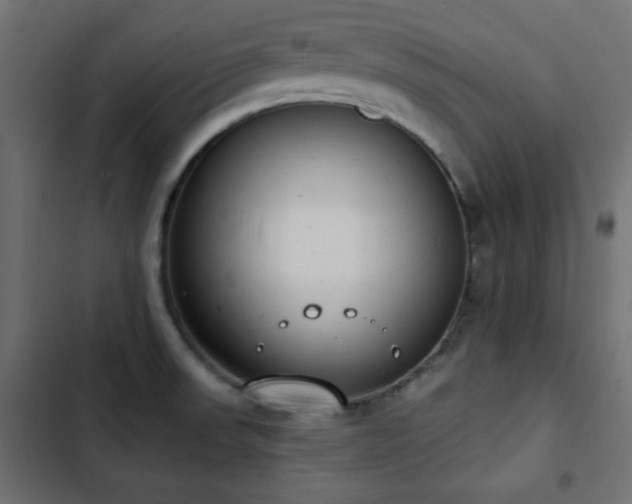 X0000103491523200809121702