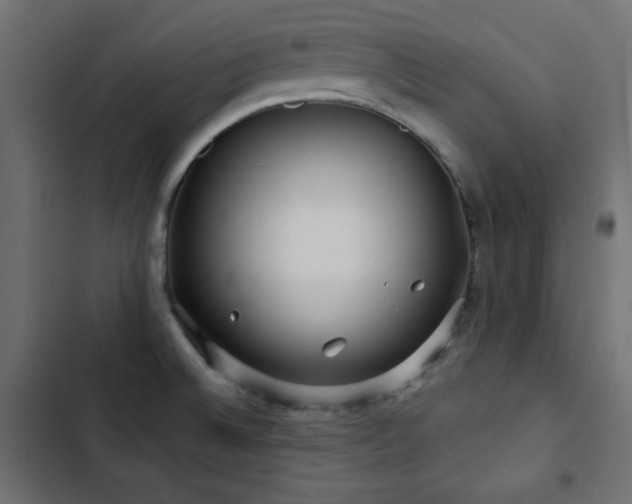 X0000103491524200809121702