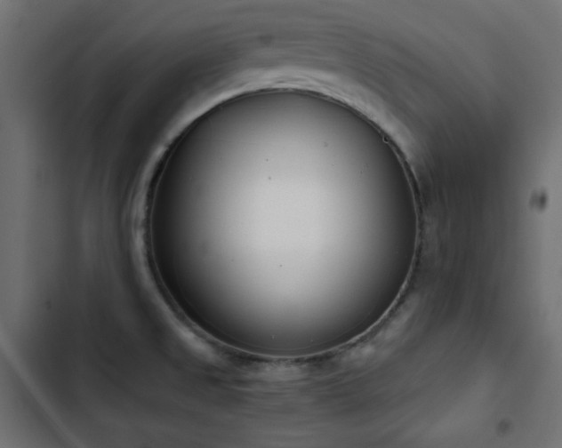 X0000103491525200809121702