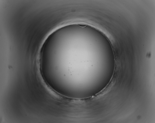 X0000103491526200809121702