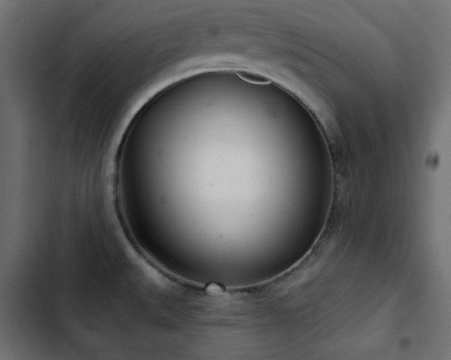 X0000103491527200809121702