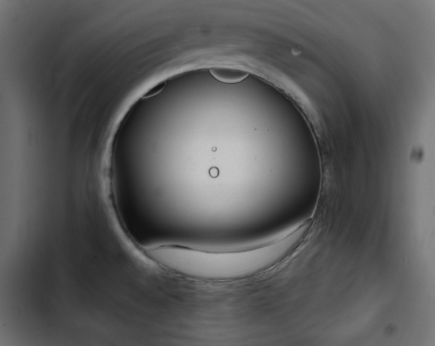 X0000103491528200809121702