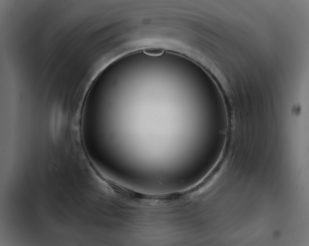 X0000103491529200809121702