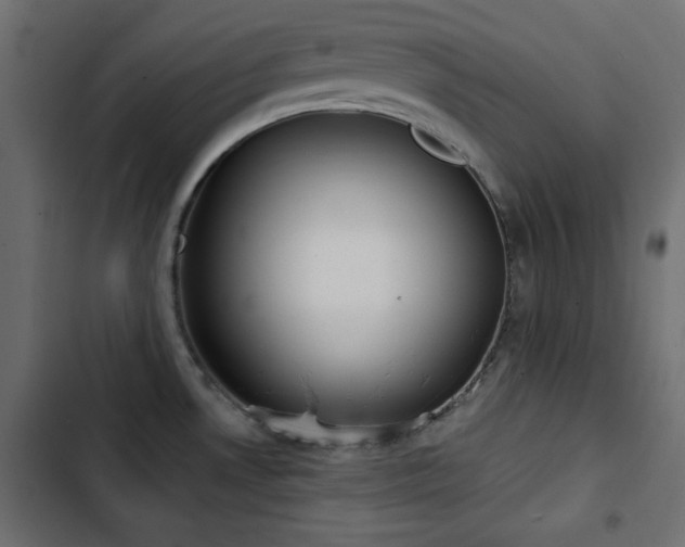 X0000103491530200809121702