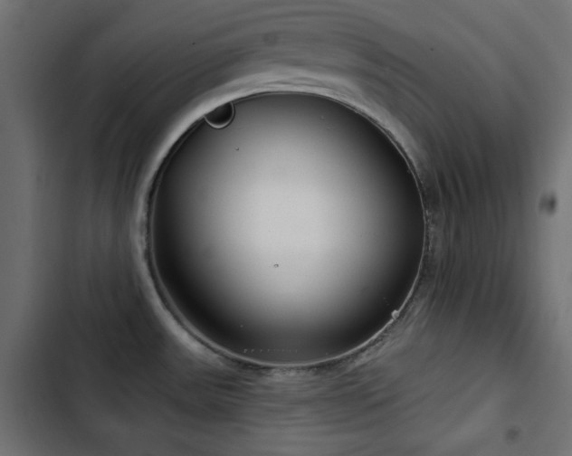 X0000103491531200809121702