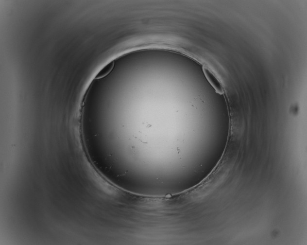 X0000103491532200809121702