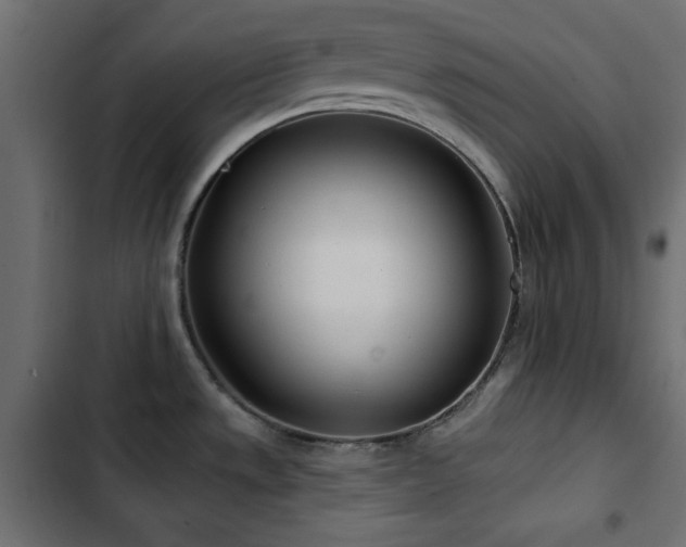 X0000103491533200809121702