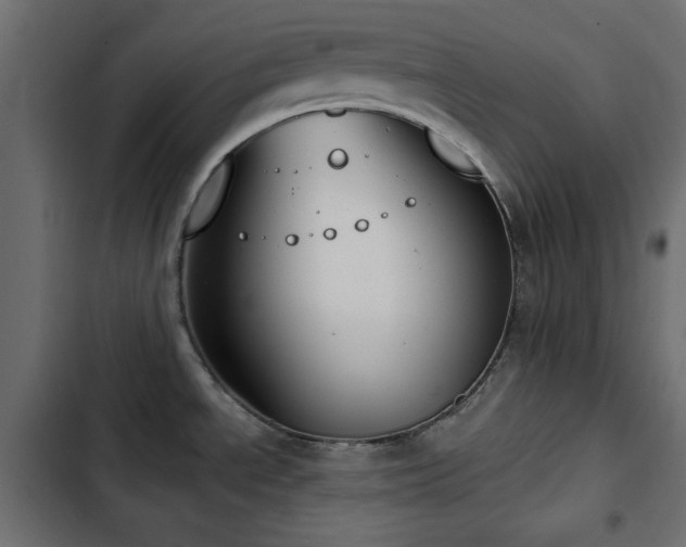 X0000103491534200809121702