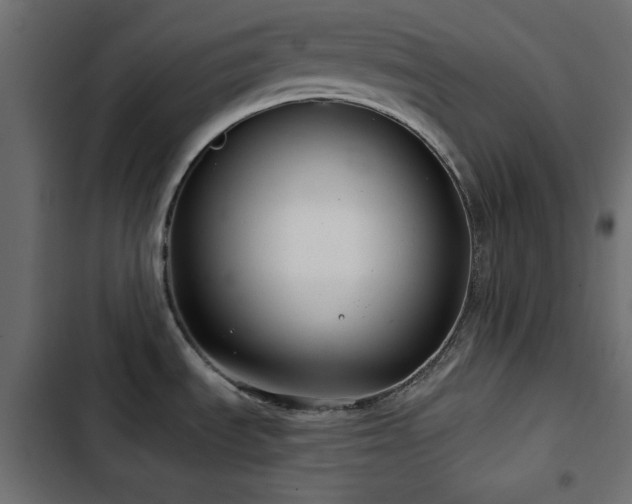 X0000103491535200809121702