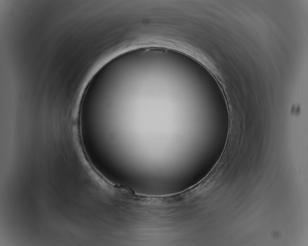 X0000103491536200809121702