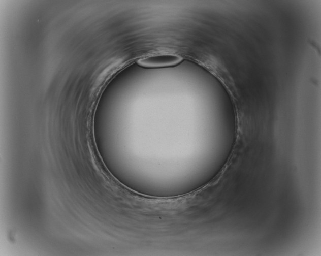 X0000103490001200809191933