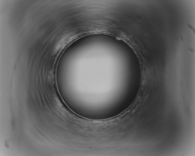 X0000103490002200809191933