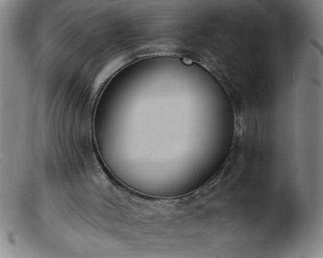 X0000103490004200809191933