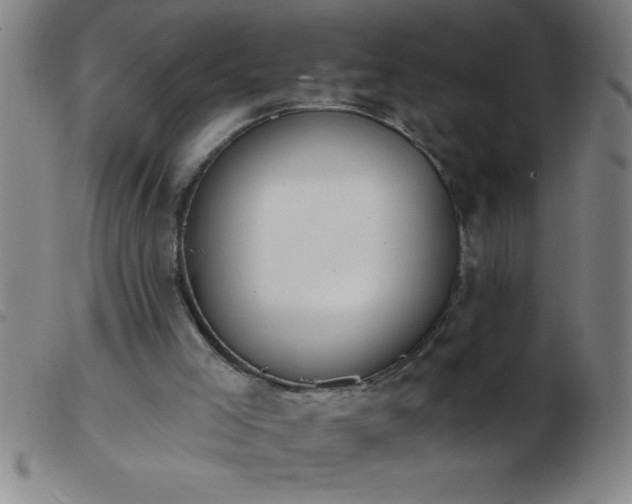 X0000103490005200809191933