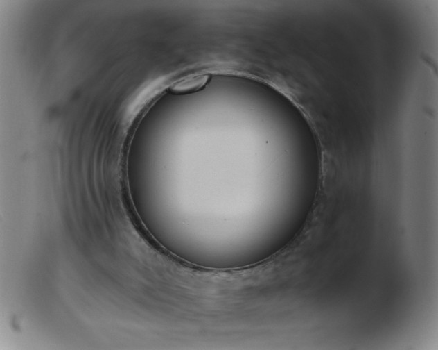 X0000103490007200809191933