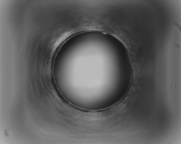 X0000103490008200809191933