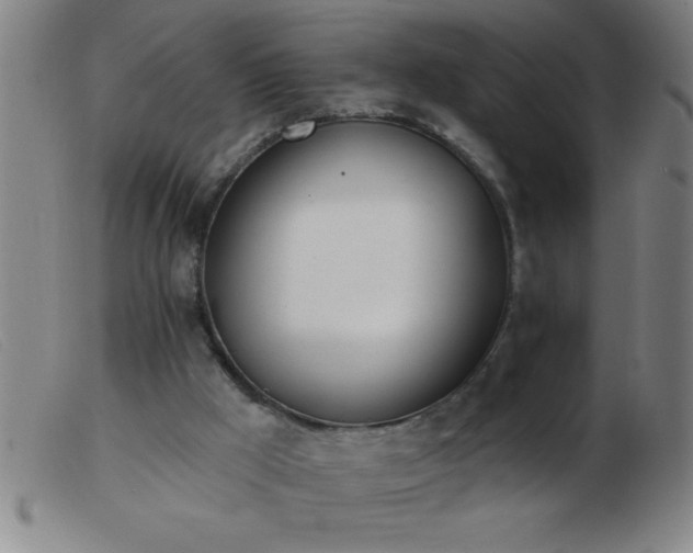 X0000103490009200809191933