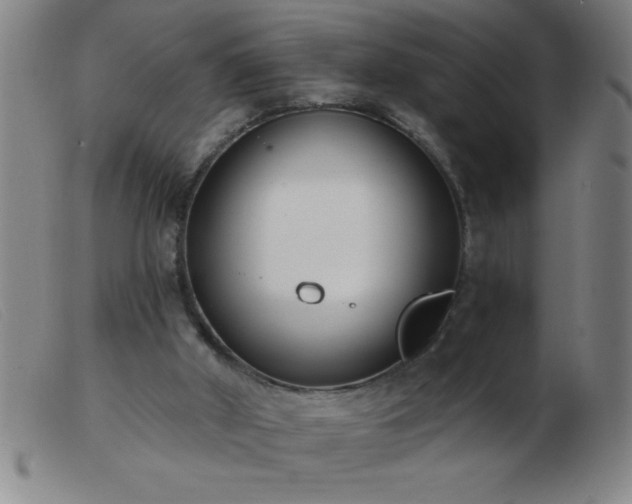 X0000103490010200809191933