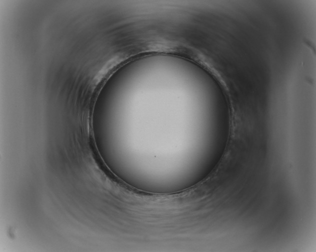 X0000103490011200809191933