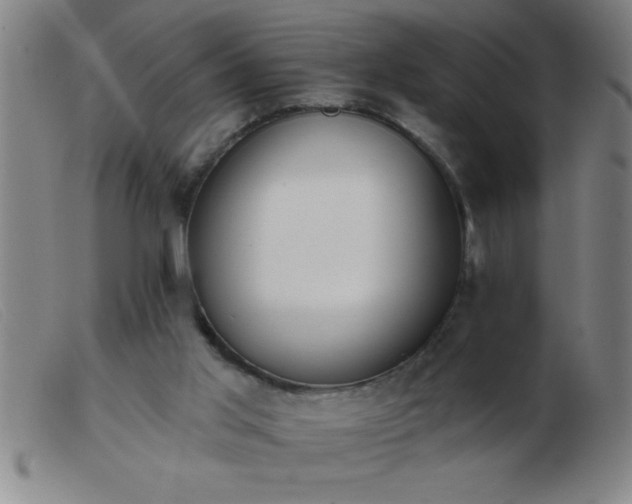 X0000103490013200809191933