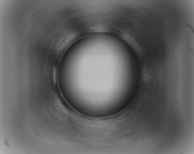 X0000103490014200809191933