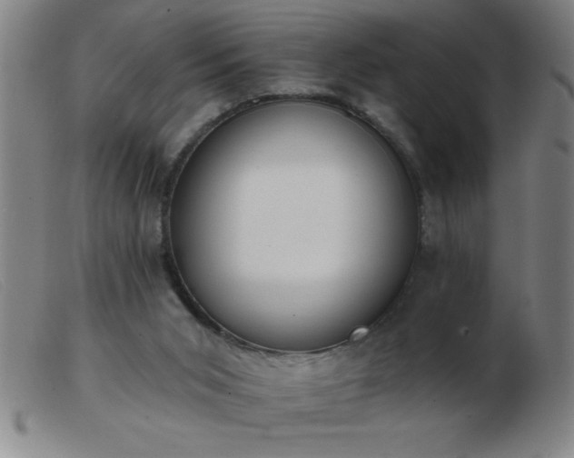 X0000103490015200809191933