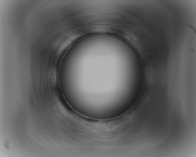 X0000103490016200809191933