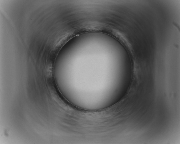 X0000103490017200809191933