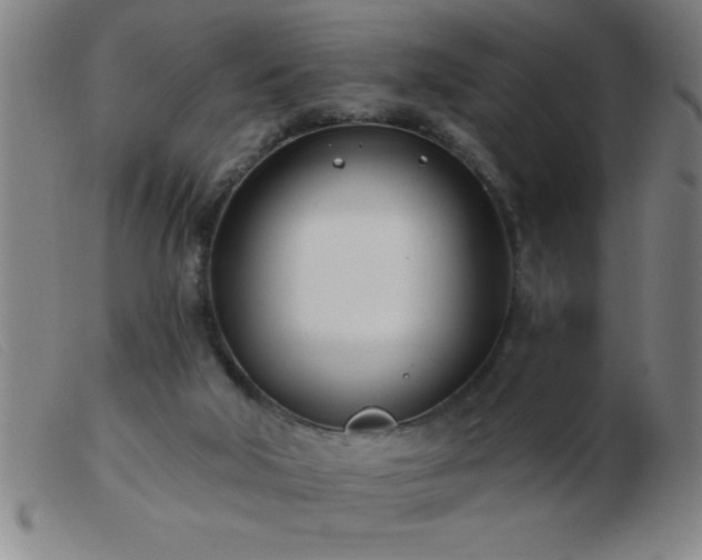 X0000103490018200809191933