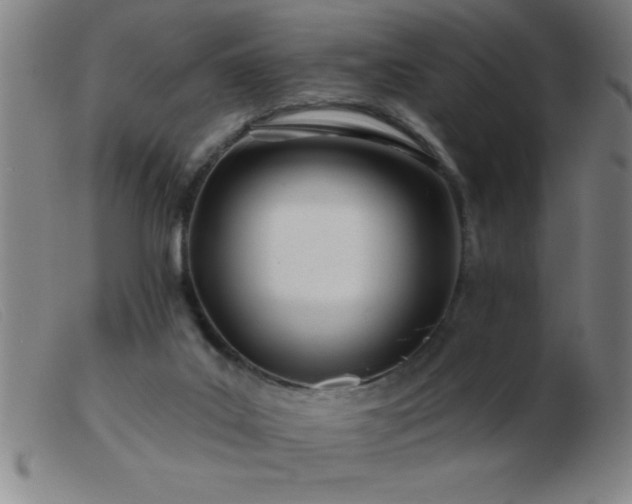 X0000103490019200809191933