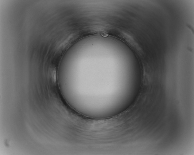 X0000103490021200809191933