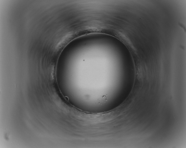 X0000103490023200809191933