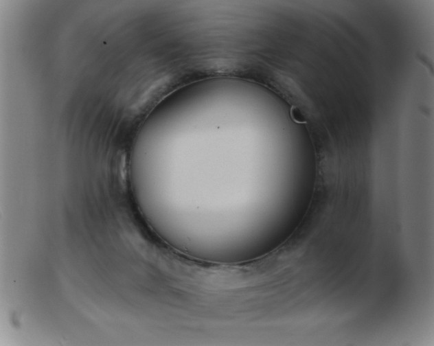 X0000103490024200809191933