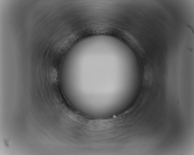 X0000103490025200809191933