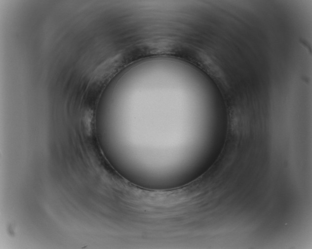 X0000103490026200809191933