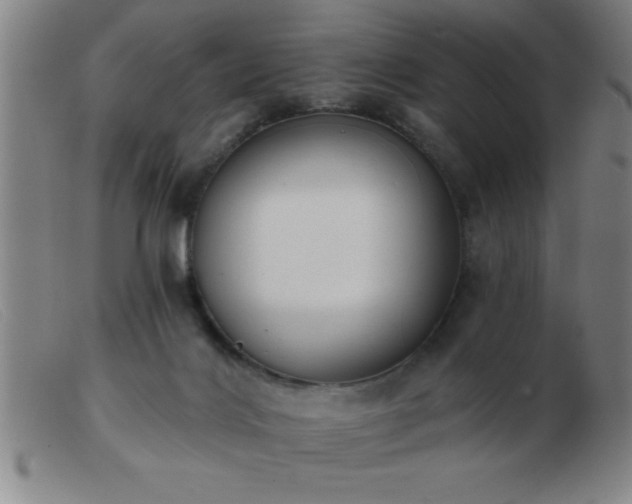 X0000103490028200809191933