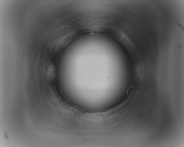 X0000103490029200809191933