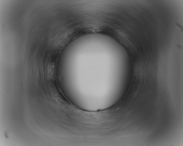 X0000103490030200809191933