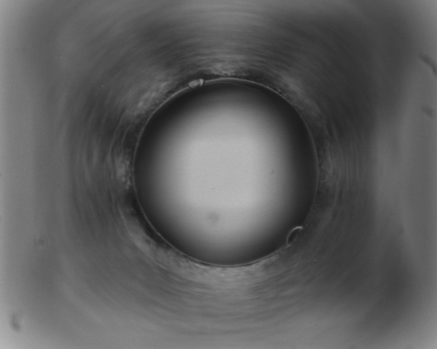 X0000103490031200809191933