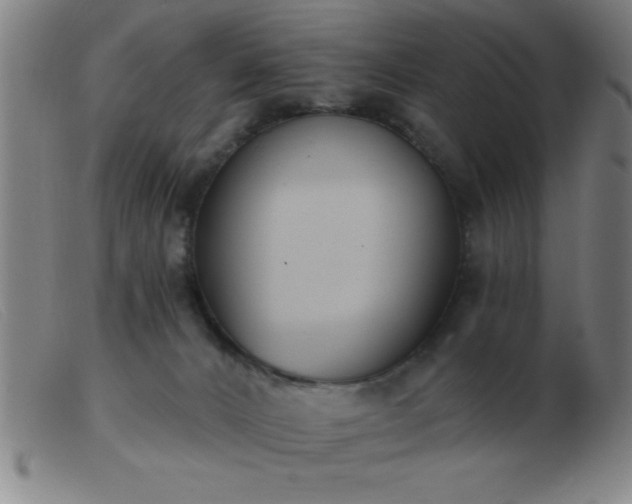 X0000103490032200809191932