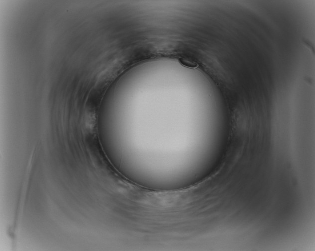 X0000103490033200809191932