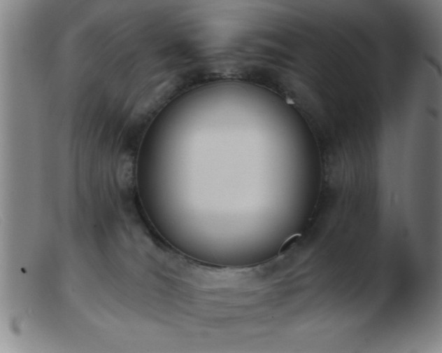 X0000103490036200809191932