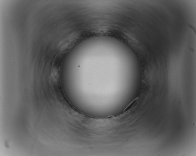 X0000103490037200809191932