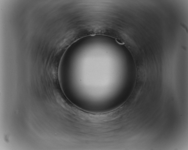 X0000103490039200809191932