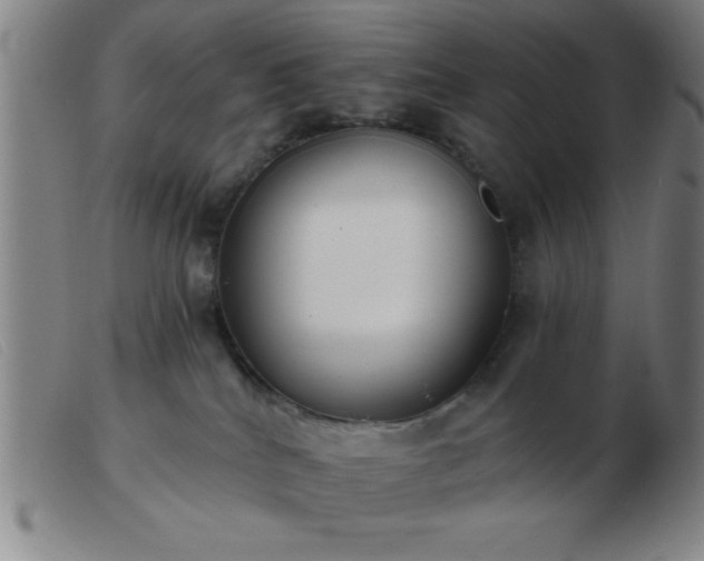 X0000103490040200809191932