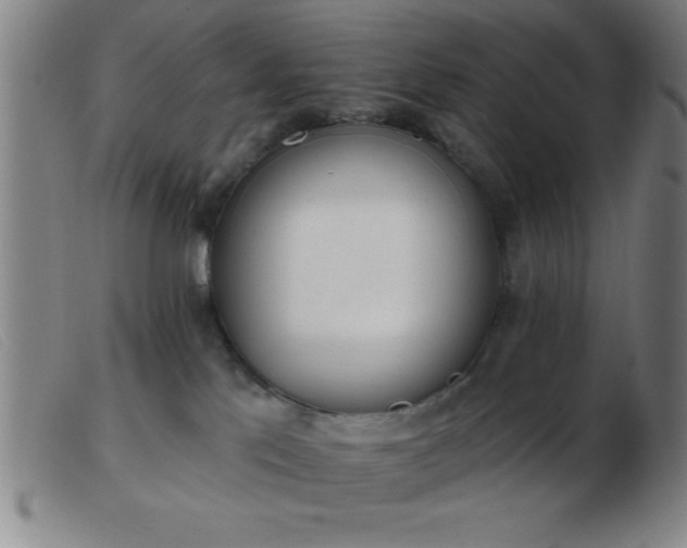 X0000103490041200809191932