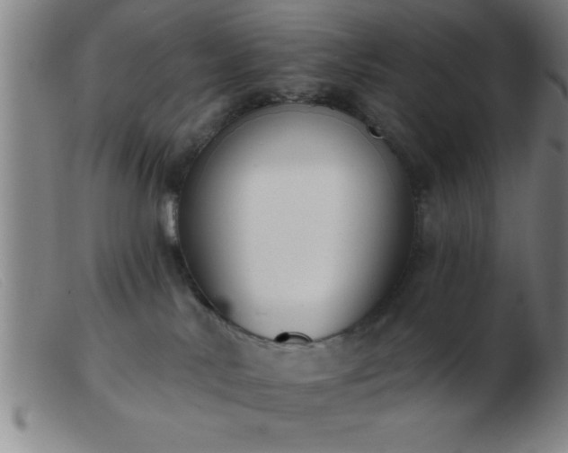 X0000103490042200809191932